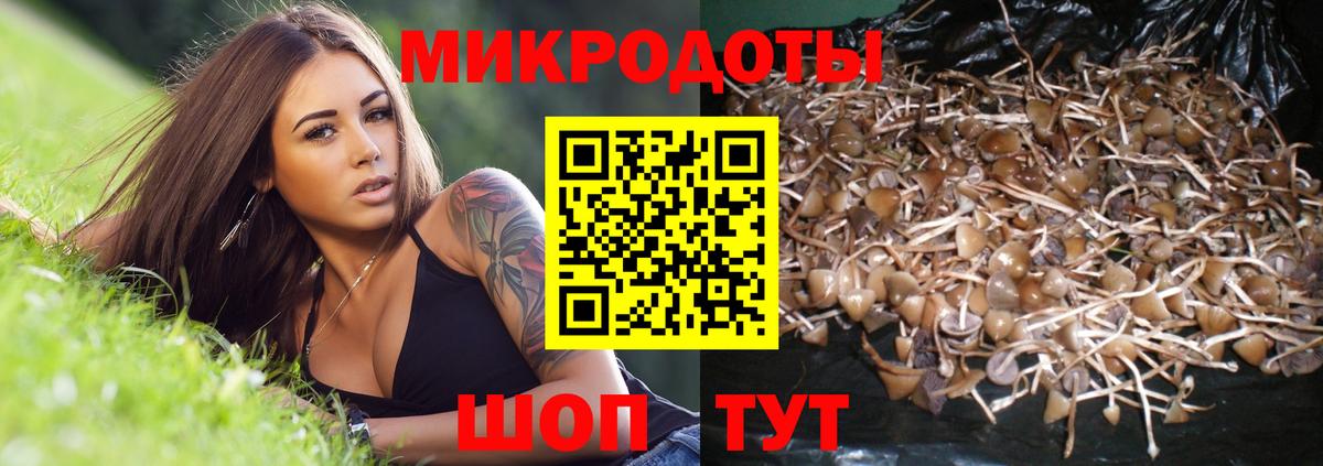 Псилоцибиновые грибы GOLDEN TEACHER Наро-Фоминск